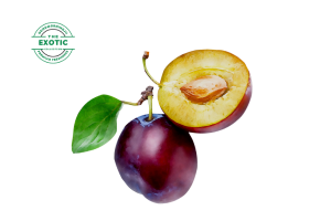 Plum (Imported) - आलूबुखारा - આલૂબુખારું